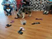 IMG-20191017-WA0004