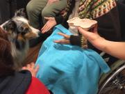 IMG-20200129-WA0019