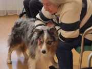 IMG-20230217-WA0025