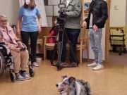 IMG-20230217-WA0035
