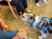 IMG-20260912-WA0020